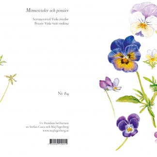 Nr 0084 Minnesvioler och penseér