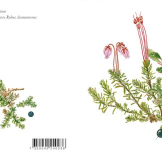 Nr 0075