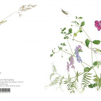 Nr 0095blom