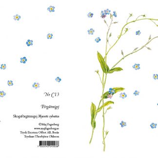 Nr C13